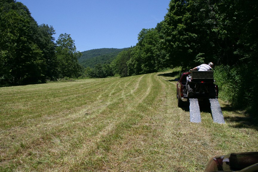 pasture 2