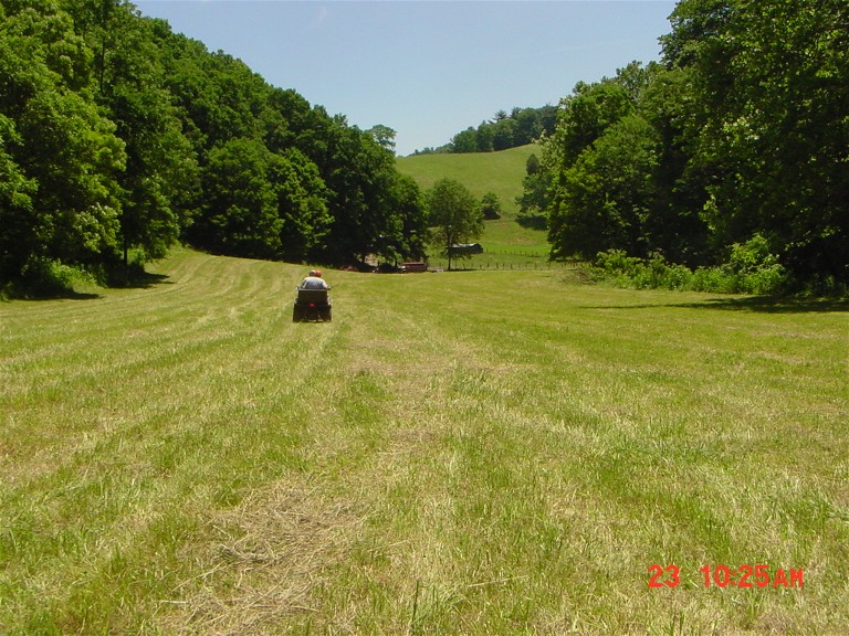 pasture 1